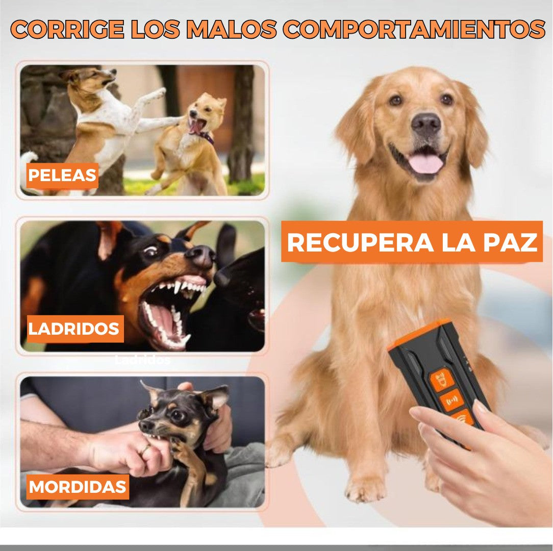 PurFloo™ | Control Total de Ladridos al Instante
