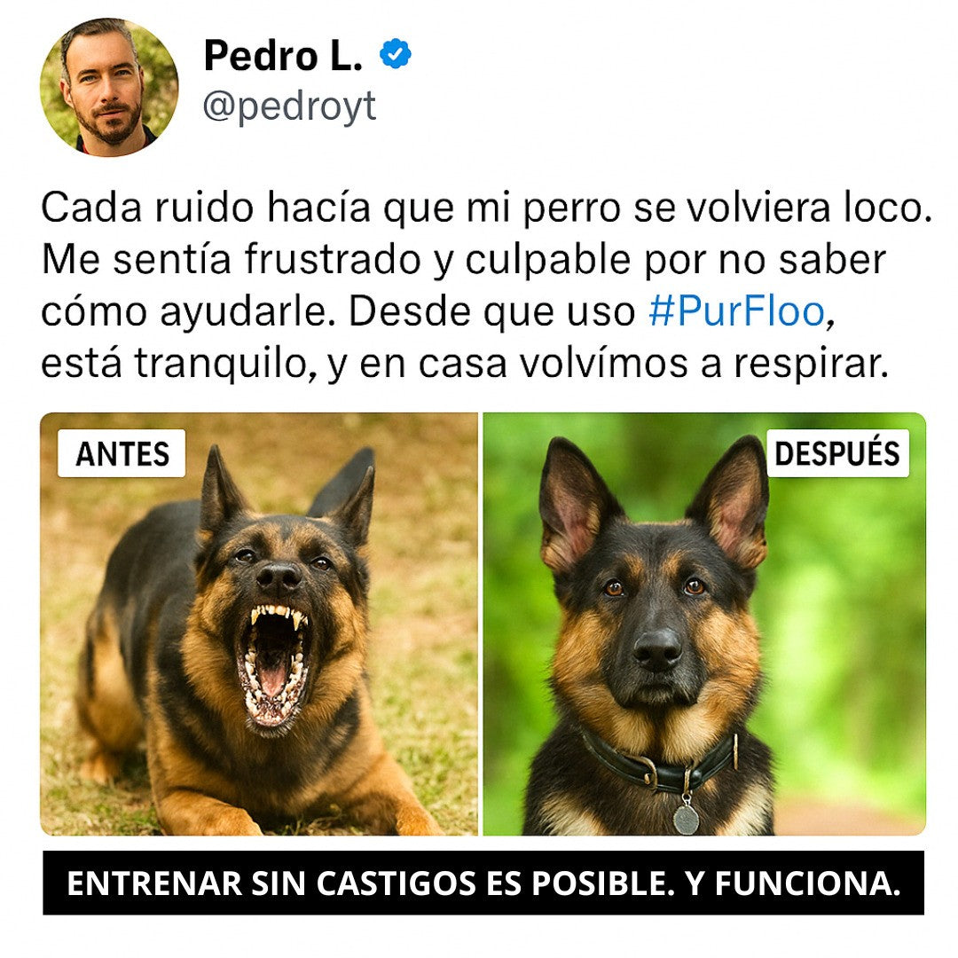 PurFloo™ | Control Total de Ladridos al Instante